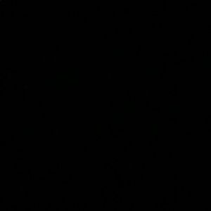 Meet your Posher, Adrian